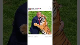 Donald Trump condemned by grieving family over AI video mocking fatal tiger attack