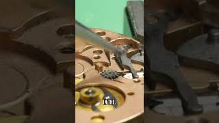 Thumbnail for Fan of Racing Chronographs
