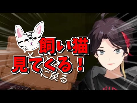 飼い猫の心配～配信終了までの対応が迅速な三枝明那【切り抜き/にじさんじ】
