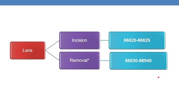 2023 CPT CODING GUIDELINES FOR SURGERY   EYE & OCULAR ADNEXA  PART 2B
