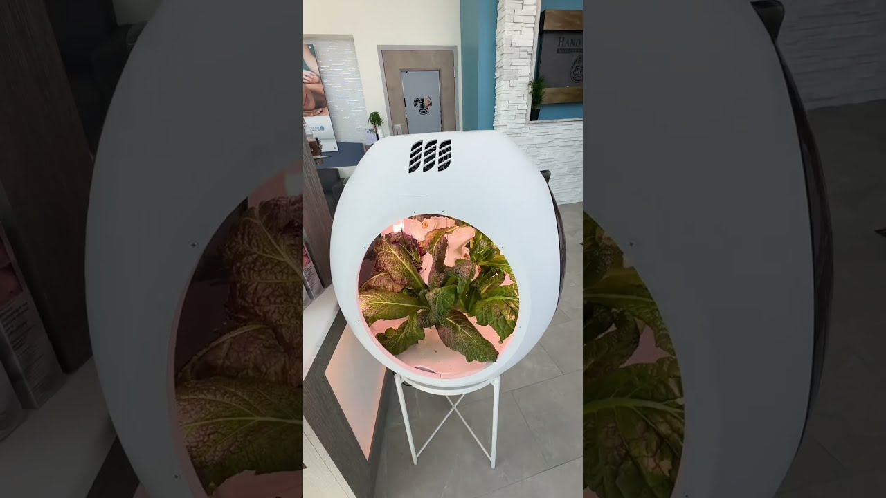 Hand & Stone x Plantaform