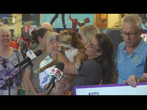 Fairfield County shelter volunteer named Petco 2022 Unsung Hero award