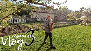 Едно семейство на село - Vlog 3 - боядисване на спалнята и разходка до битака