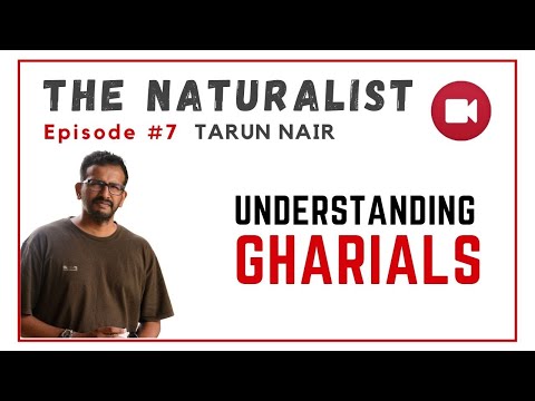 The Naturalist- Episode 7 | Tarun Nair on Gharials