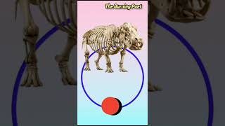 99% Failed,Can You WIN this Game?😱#challenge #animals #win #trendingreels