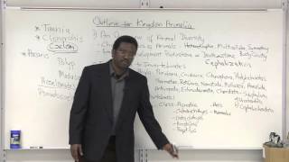 Kingdom Animalia - Intro to Vertebrates