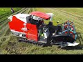 Professional Rice Harvesting with KUBOTA Combine Harvester | Expert Operator in Action