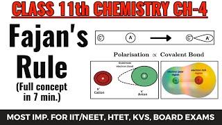 Fajans Rule Chemistry Polarization And Polarisability Chemical Bonding Class 11