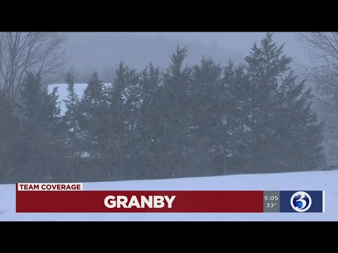ვიდეო: თოვდა გრანბიში?