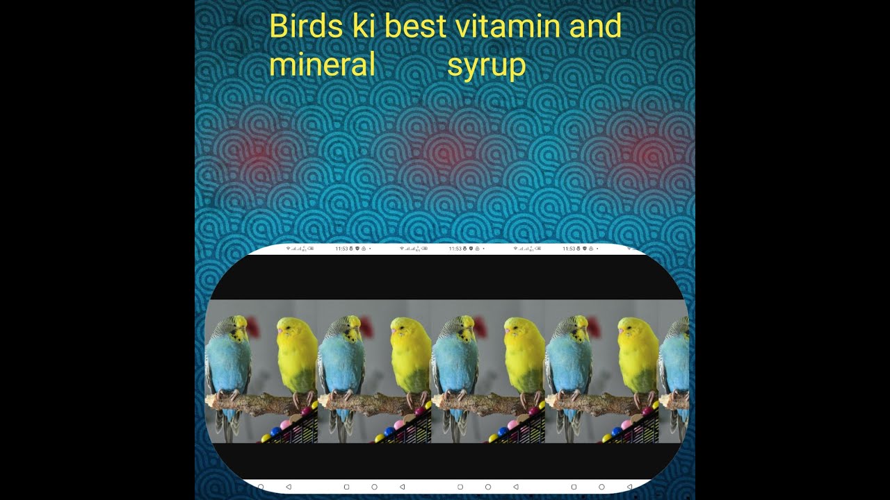 Best vitamins and minerals for muscle growth