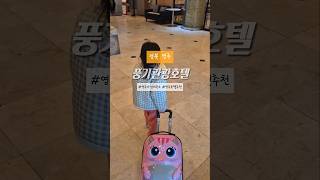 📍풍기관광호텔 #영주여행 #영주일주일살아보기 #영주숙소 #영주가성비호텔 #자세한건프로필링크블로그참고하세요