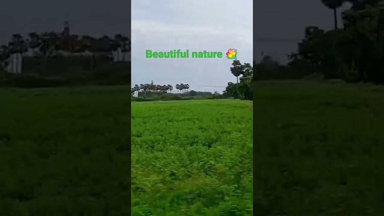 beautiful nature 👌wonderful autmosphear 👍