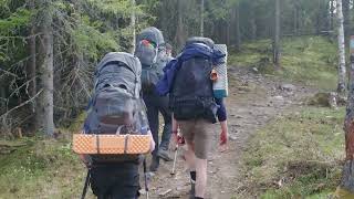 Silent Paths: A Walk Through Nordmarka