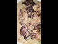 أكل حيوان النيص أكل حيوان النيص