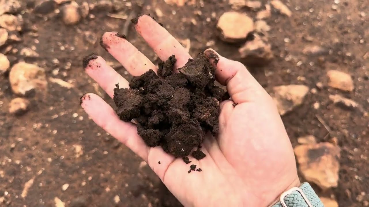 من يوميات مشروعي الجديد: كيف بدأت رحلة إحياء الأرض ؟