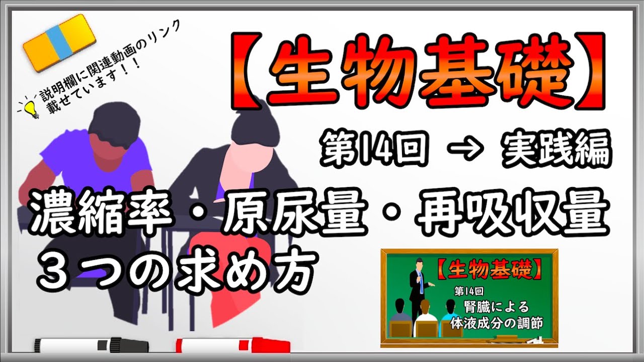 生物基礎【第14回実践編 濃縮率・原尿量・再吸収量の求め方】オンラインで高校授業