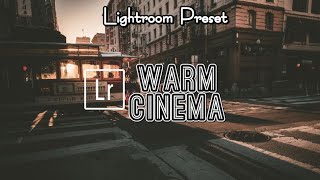【Lightroom Preset】 Cinematic Orange