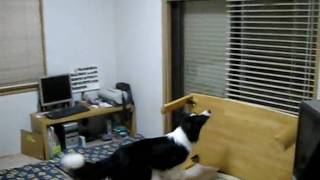 MVI_6268.AVI