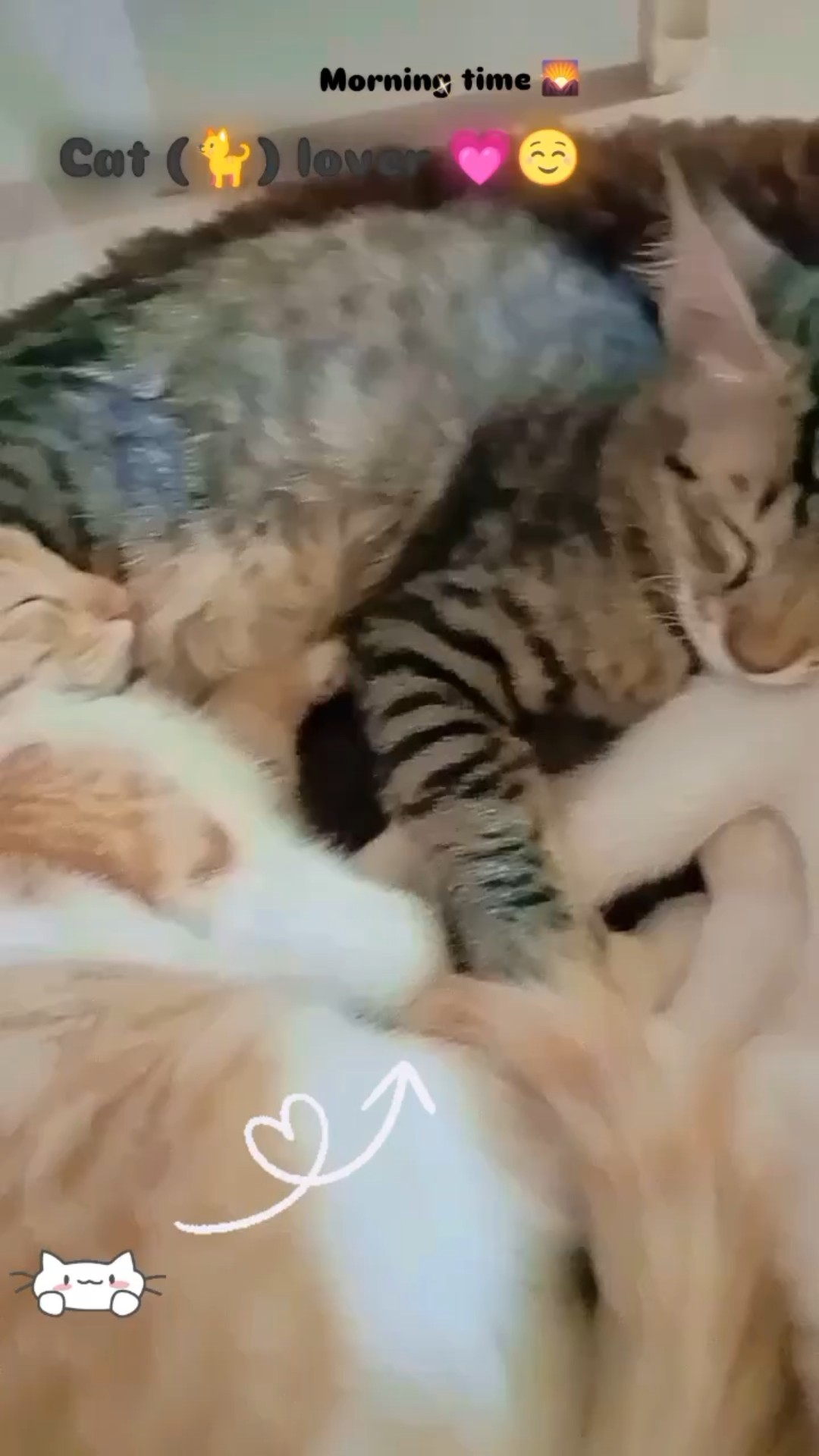 🔊रिंगटोन - ShareChat