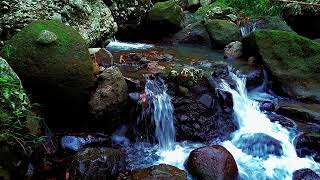 Water River Harmony for Relaxing, Deep Sleep, Meditation and Studying