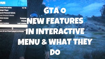 GTA V Online New Options On The Interaction Menu And What They Do