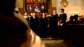 Pärlorna Julkonsert Torsång 2011 - En Stjärna Lyser Så Klar