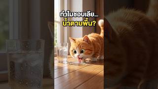 ทำไมแมวชอบแอบไปเลียกินน้ำตามพื้นห้องน้ำ #น้ำพุแมวไร้สาย #CatFountain #CatLovers #ความลับเจ้าตัวแสบAI