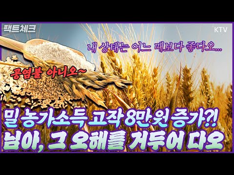 <strong>밀</strong> 농가 소득, 고작 8만 원 오른다? 정부 <strong>밀</strong> 비축 공염불? 놉! 농가 소득 40만 원 늘어날 전망🌾 정부 <strong>밀</strong> 공공비축 지급단가 확인 #팩트체크 &amp;quot;님아 그 오해를 거두어 다오&amp;quot;
