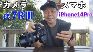 【カメラ】iPhone14Proとミラーレスカメラ(α7RⅢ)で写真撮影比較！「日中編」