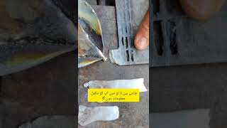 Old Dead Battery Negative Plate Repair | Lead Acid Battery Restoration DIY | Battery Repair at Home
