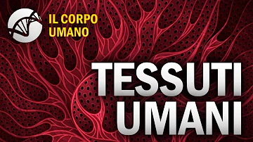 Quale tessuto può essere solido e anche liquido?