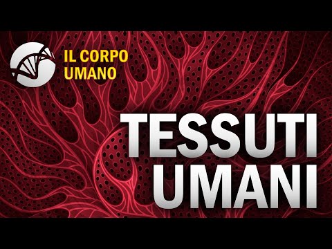 Tessuti Umani - Il Corpo Umano | Estratto