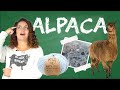 Why do people love Alpaca Yarn so much? - Yarn University #10