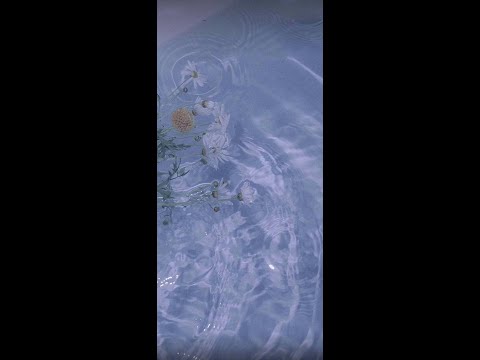 الكل يبكي علي الوطن ولا أحد يزرع في رصيفه وردة 