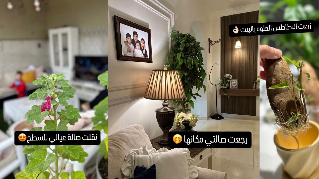 تغيرات جديده استعداد لرمضان 🌙 شوربة الطماطم🤤 زرعة البطاطس الحلوه من البيت 🥔طلبية شي ان لأطفالي😍