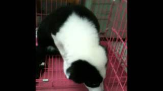 IMG 5364 Flickr Chia sẻ ảnh! IMG 5364 Flickr Chia sẻ ảnh!