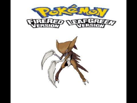 hqdefault.jpg