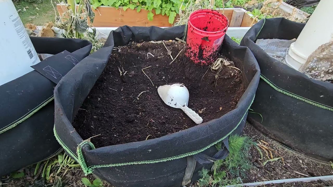 Harvesting 50 gal grow bag worm bins
