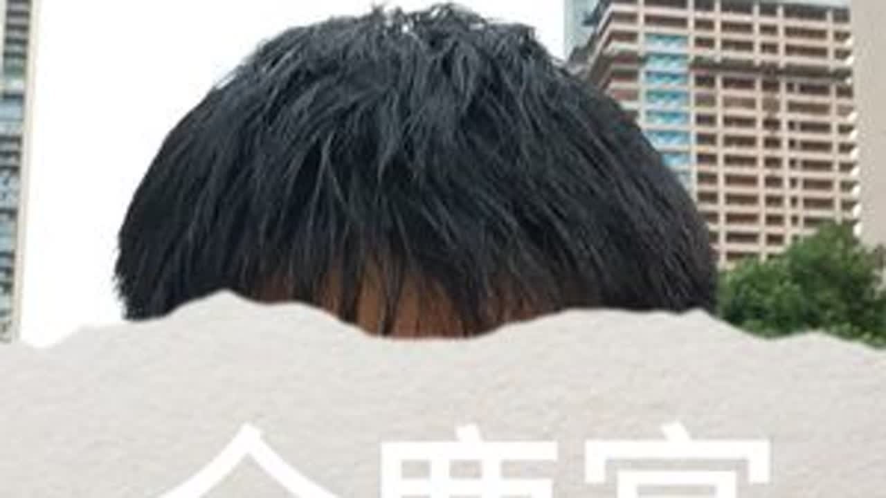 #全鹿宴 #全鹿大补丸 #古时帝王宴#梅花鹿养殖 #鹿酒养生酒