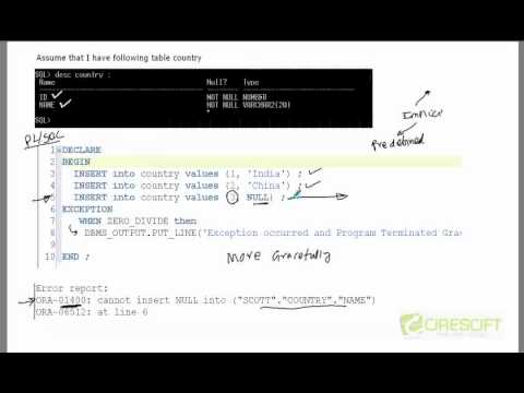 PL/SQL tutorial: Non predefined Exceptions PL/SQL in Oracle Database 