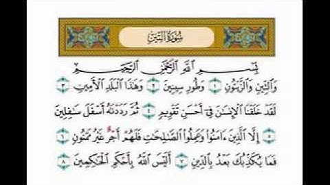 سورة التين بصوت الشيخ ناصر القطامي   سورة التين ناصر القطامي