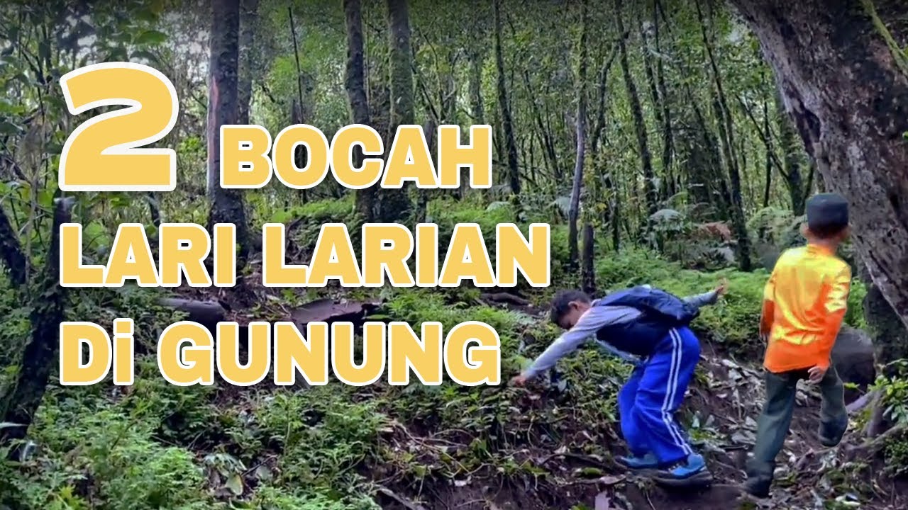 2 Bocah Lari di Gunung dan Heboh. Gunung Lesung Cocok untuk Pendaki Pemula