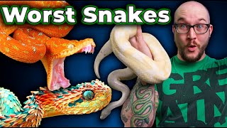 Top 5 Worst Pet Snakes And 5 Better Options Youve Never Heard Of