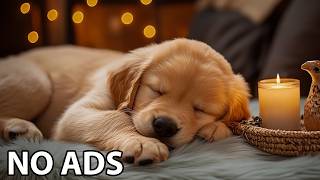 12 Hours Dogs Music 🐾 Dogs Relaxation Music & Calming Audio For Peaceful Dog Comfort - Dog Sleep 12 Hours Dogs Music 🐾 Dogs Relaxation Music & Calming Audio For Peaceful Dog Comfort - Dog Sleep
