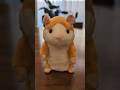 視聴者さんからいただきました🐹※整理中