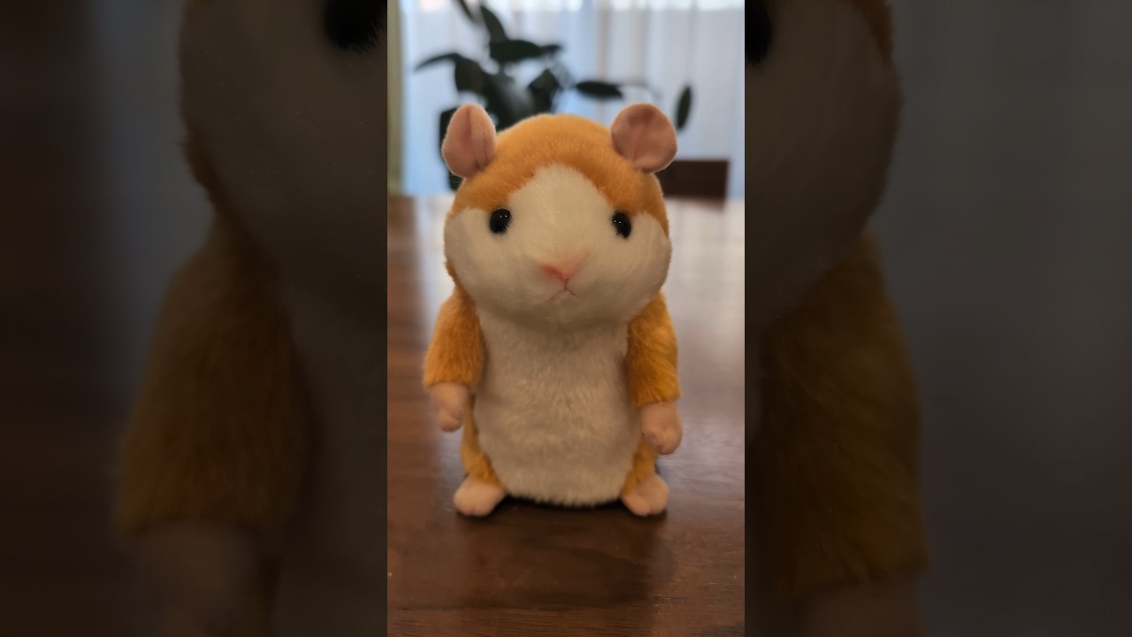 視聴者さんからいただきました🐹※整理中