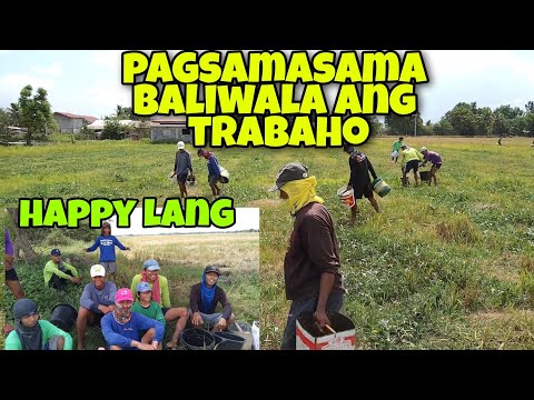 watermelon farm| pagdidilig sa mga pakwanan+ SALAMAT SA SPONSORE