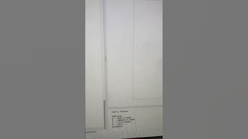 codehs performance task logan le