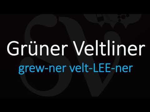 Video: Grüner Veltliner Zvijezda Je Austrijske Vinske Scene