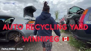 ITSURA NG JUNKYARD NG SASAKYAN SA WINNIPEG CANADA
